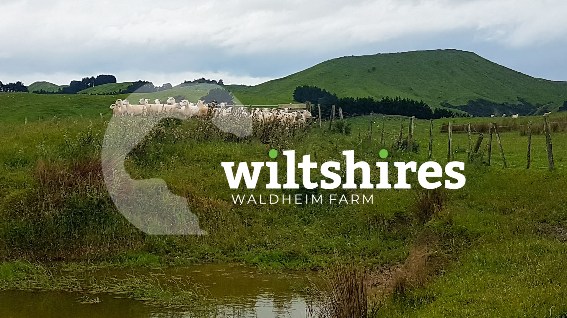 home-wiltshires-waldheim-farm